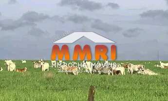 Imagem 7: Fazendao de Dupla Aptidão à Venda no Mato Grosso