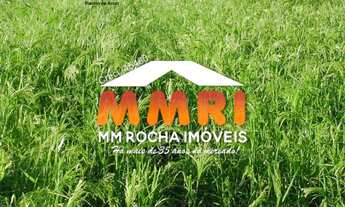 Imagem 4: Fazenda com Dupla Aptidão em Porto Alegre do Norte /MT