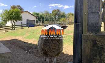 Imagem 4: Sítio a venda em Tatuí/SP