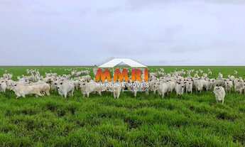 Imagem: Fazenda de Duplas Aptidão a Venda em na