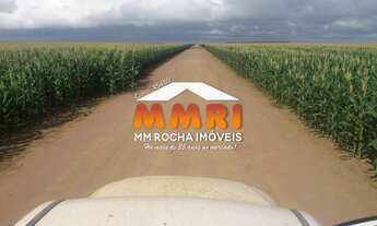 Imagem 3: Fazenda de Duplas Aptidão a Venda em na Região Sul de Piauí