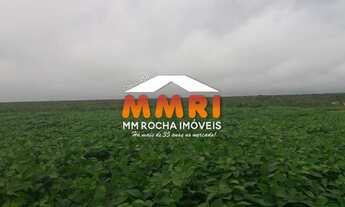 Imagem 7: Fazenda de Duplas Aptidão a Venda em na Região Sul de Piauí