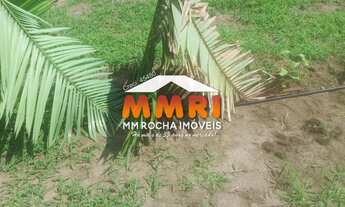 Imagem 5: Fazenda de Duplas Aptidão a Venda em na Região Sul de Piauí