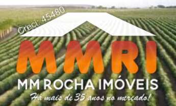 Imagem: Fazenda de Café em Patrocínio/MG