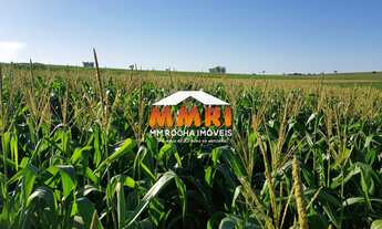 Imagem: Fazenda de Dupla Apitidão em Exaporã/SP