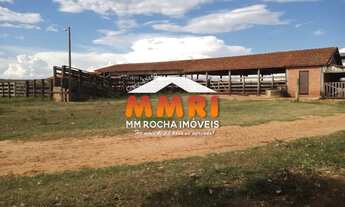 Imagem 2: Fazenda de Dupla Apitidão em Exaporã/SP