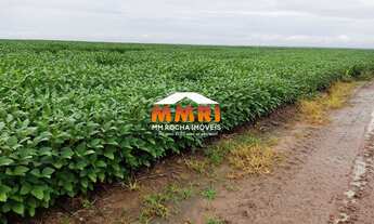 Imagem: Fazenda de Soja no Interior do Maranhão