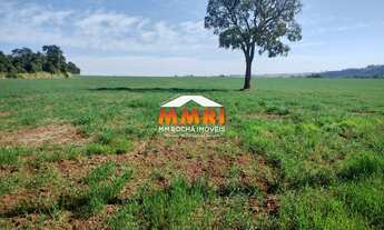 Imagem: Sitio á venda na zona rural de Capela do