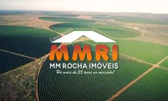 Imagem: Fazenda de Dupla Aptidão à Venda em Alta