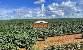 Imagem: FAZENDA EM NOVA UBIRATÃ, MT