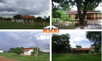 Imagem 3: Fazenda de Dupla Aptidão em São Felix de Araguaia/MT