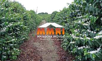 Imagem: Fazenda de Café à venda em Luminárias/MG