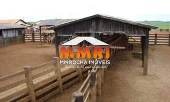 Imagem 7: Fazenda de Dupla Aptidão em Canabrava do Norte/MT