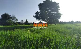 Imagem: Fazenda de Pecuária em Alenquer/PA