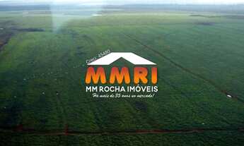 Imagem 4: Fazenda de Dupla Aptidão em Canabrava do Norte/MT