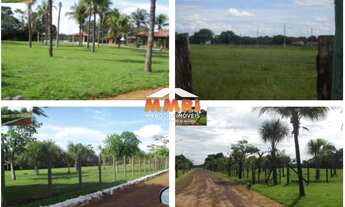 Imagem: Fazenda de Dupla Aptidão em São Felix