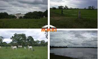 Imagem 7: Fazenda de Dupla Aptidão em São Felix de Araguaia/MT