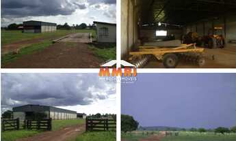 Imagem 4: Fazenda de Dupla Aptidão em São Felix de Araguaia/MT