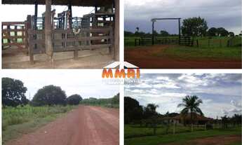 Imagem 5: Fazenda de Dupla Aptidão em São Felix de Araguaia/MT