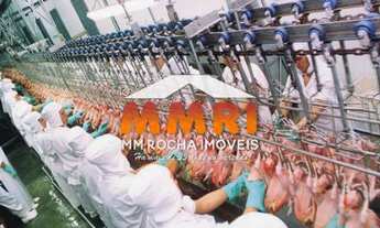 Imagem: Frigorifico de Aves no RS e SC