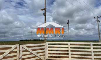 Imagem: Fazenda de Dupla Aptidão no interior do