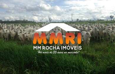 Imagem 7: Fazenda de Pecuária - Rondolânda/MT