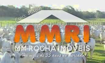 Imagem: Fazenda de Pecuária - Rondolânda/MT