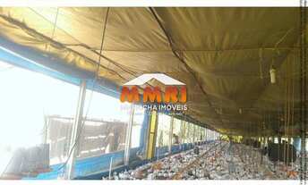 Imagem 5: Sítio com 4 Alqueires em Guareí