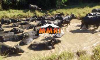 Imagem 2: FAZENDA RURAL em SANTANA DO ITARARÉ - PR, NI