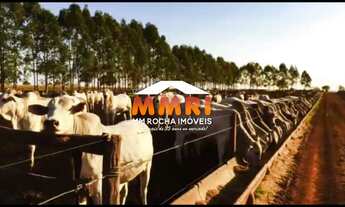 Imagem: FAZENDA RURAL em PRESIDENTE PRUDENTE - SP