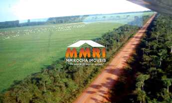 Imagem 3: FAZENDA RURAL em PORTO ALEGRE DO NORTE - MT, NI