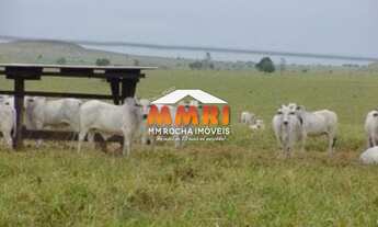Imagem 6: FAZENDA RURAL em PORTO ALEGRE DO NORTE - MT, NI