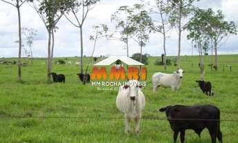 Imagem: FAZENDA RURAL em PORTO ALEGRE DO NORTE