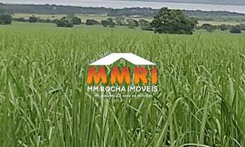 Imagem 5: FAZENDA COMERCIAL em SUZANO - SP, CIDADE MIGUEL BADRA