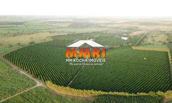 Imagem: FAZENDA COMERCIAL em MARÍLIA - SP, CENTRO