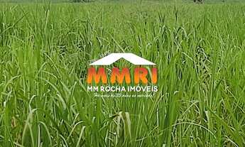 Imagem 4: FAZENDA COMERCIAL em SUZANO - SP, CIDADE MIGUEL BADRA