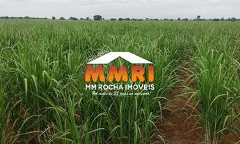 Imagem: FAZENDA COMERCIAL em SUZANO - SP, CIDADE