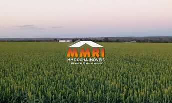 Imagem: FAZENDA COMERCIAL em SÃO ROMÃO - MG, ni