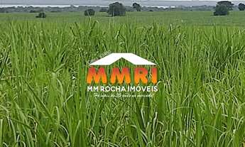 Imagem 3: FAZENDA COMERCIAL em SUZANO - SP, CIDADE MIGUEL BADRA