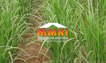 Imagem 6: FAZENDA COMERCIAL em SUZANO - SP, CIDADE MIGUEL BADRA