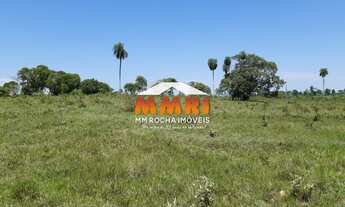 Imagem 4: FAZENDA COMERCIAL em NIOAQUE - MS, ni