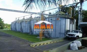 Imagem 4: FAZENDA RURAL em MARÍLIA - SP, NÚCLEO HABITACIONAL CASTELO BRANCO