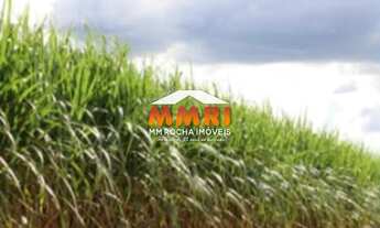 Imagem: FAZENDA RURAL em PRESIDENTE PRUDENTE - SP