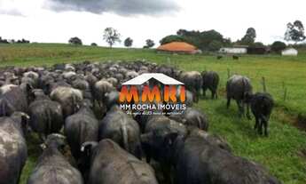 Imagem: FAZENDA INDUSTRIAL em SANTANA DO ITARARÉ