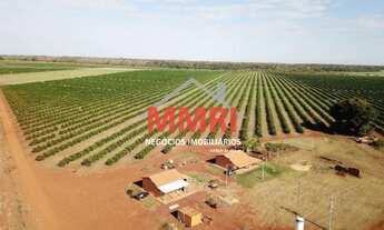 Imagem: FAZENDA RURAL em VOTUPORANGA - SP, PATRIMÔNIO