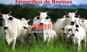 Imagem: FAZENDA RURAL em AQUIDAUANA - MS, ni