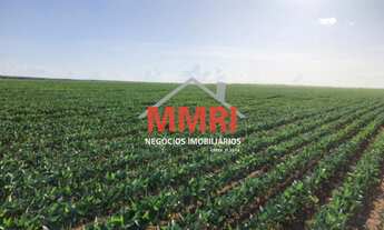 Imagem: FAZENDA RURAL em PARAÍSO DO TOCANTINS