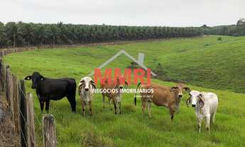 Imagem 5: FAZENDA RURAL em PORTO SEGURO - BA, Distrito de Caraíva