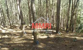 Imagem: FAZENDA RURAL em ITAPIRAPUÃ PAULISTA