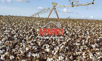 Imagem: Fazenda espetacular com 893,72 alqueires